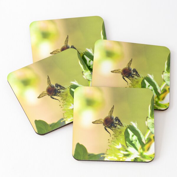 Item preview, Detail of a bee pollinating! designed and sold by Anoebis.