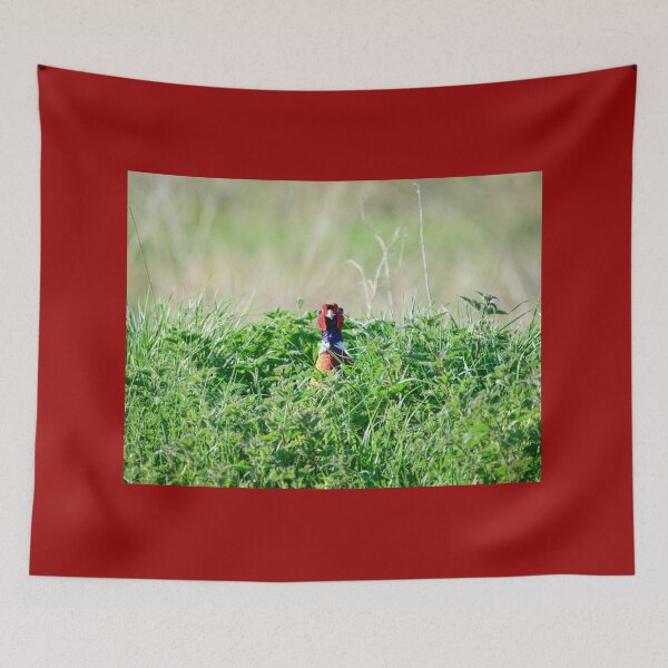 Item preview, Nosy Male Pheasant designed and sold by InterestingImag.