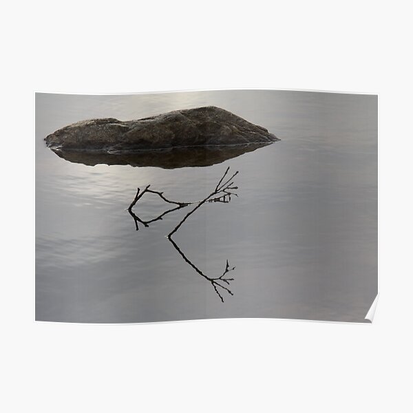 Rock n Twigs Poster