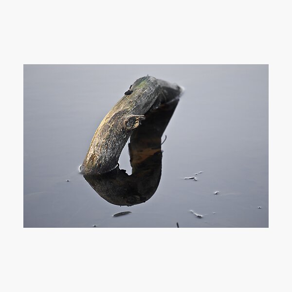 Mobius Photographic Print