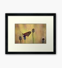 Droomplek Framed Print