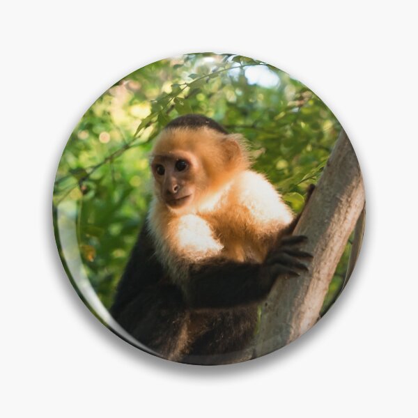 Item preview, WHITE FACE - MONKEY COSTA RICA - TRAVEL PHOTOGRAPHY designed and sold by Tropical Blood.