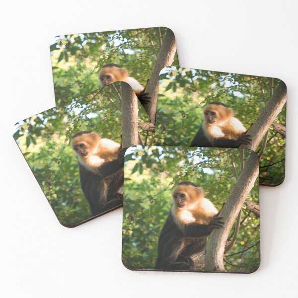 Item preview, WHITE FACE - MONKEY COSTA RICA - TRAVEL PHOTOGRAPHY designed and sold by Tropical Blood.