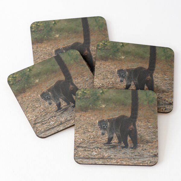Item preview, ANIMALS COSTA RICA - TRAVEL PHOTOGRAPHY  designed and sold by Tropical Blood.