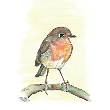 Artwork thumbnail, Robin by RJArts