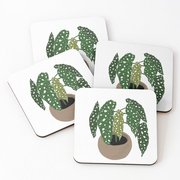 Item preview, Begonia maculata designed and sold by lu-lu.