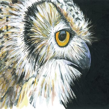Artwork thumbnail, Eagle Owl by RJArts