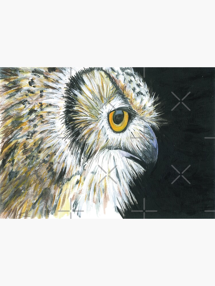 Thumbnail 3 of 3, Sticker, Eagle Owl designed and sold by RJArts.