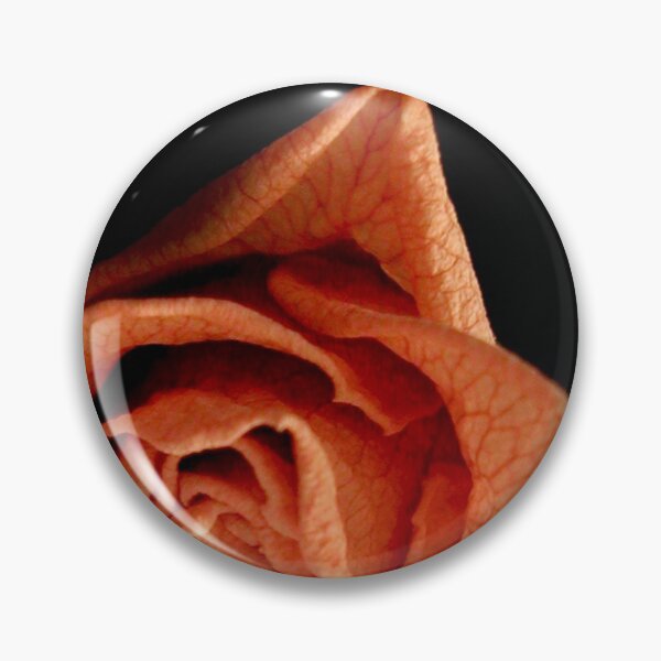 Item preview, Dried designed and sold by Kerri Ann McClellan.
