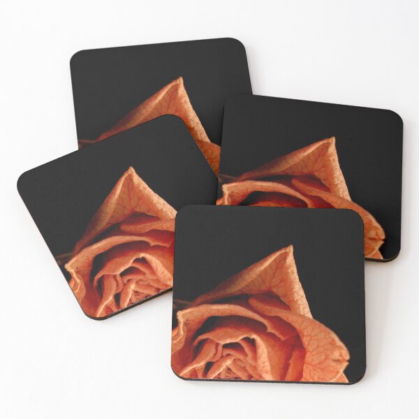 Item preview, Dried designed and sold by Kerri Ann McClellan.