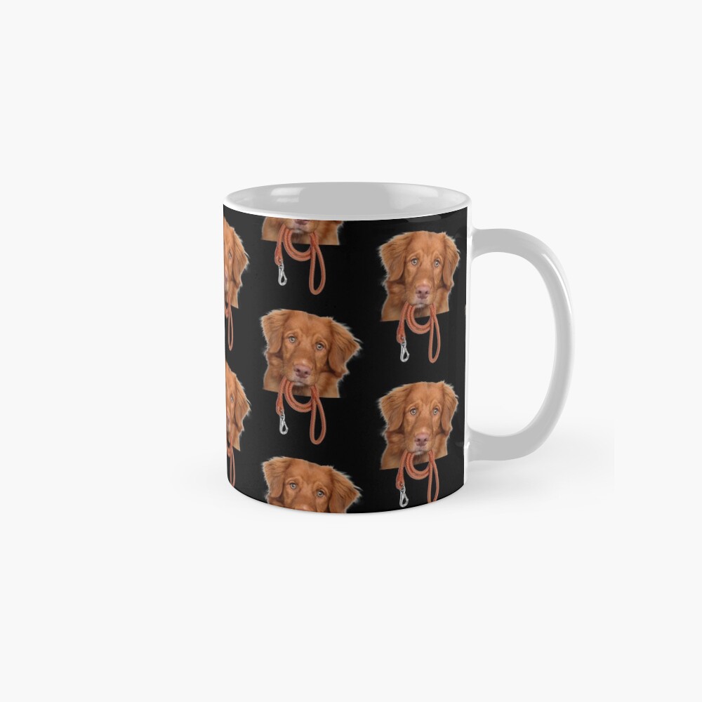 golden retriever dogtime