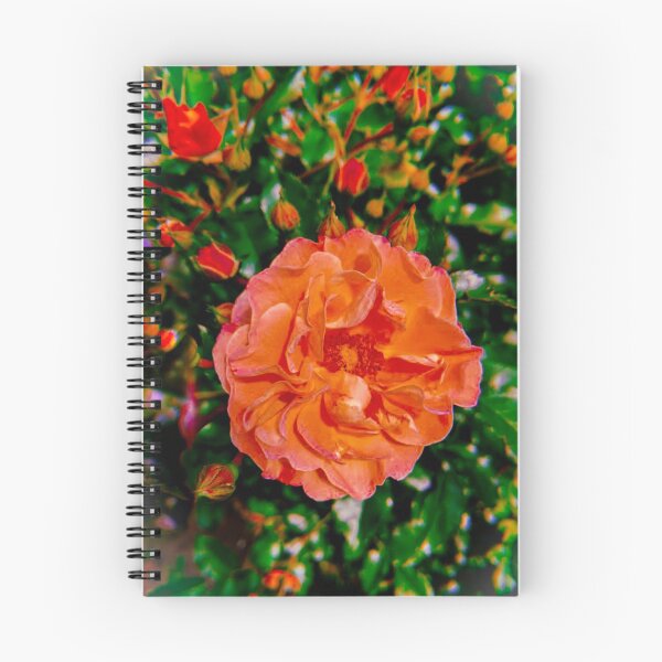 Item preview, Orange Flower designed and sold by samp23.