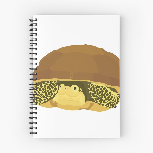 Item preview, Blanding's Turtle - Emydoidea blandingii designed and sold by Emma Pardini.