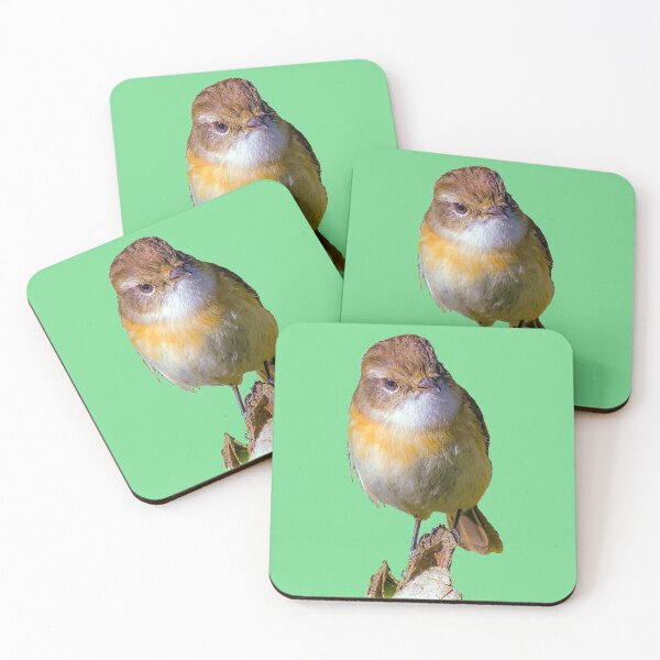 Item preview, Tec-tec bird from Reunion designed and sold by MarieClaude1954.