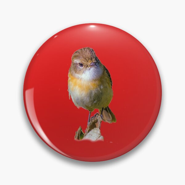 Item preview, Tec-tec bird from Reunion designed and sold by MarieClaude1954.