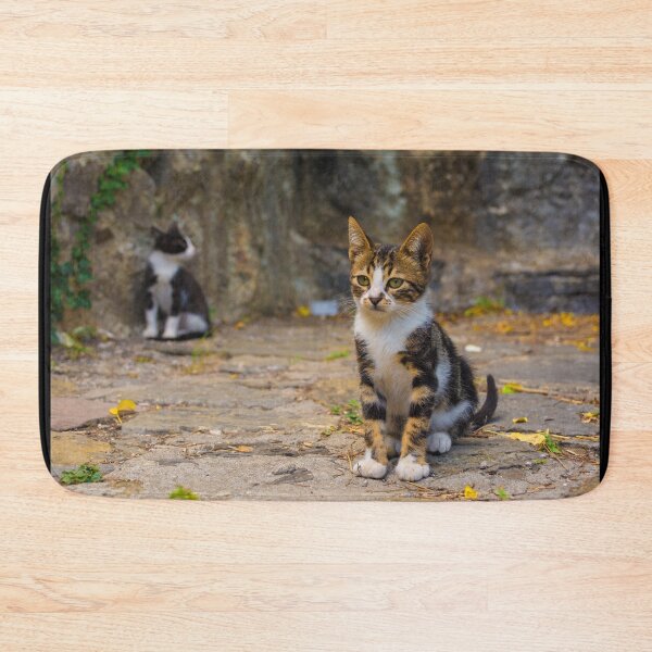 Item preview, Feral Kittens in Rumeli Hisari  designed and sold by jojobob.
