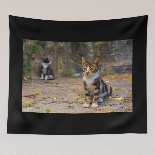 Item preview, Feral Kittens in Rumeli Hisari  designed and sold by jojobob.