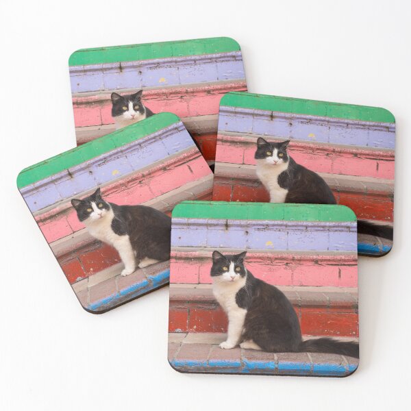 Item preview, Street Cat in Fener Istanbul designed and sold by jojobob.