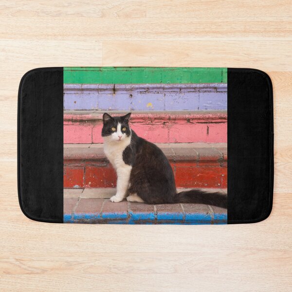 Item preview, Street Cat in Fener Istanbul designed and sold by jojobob.