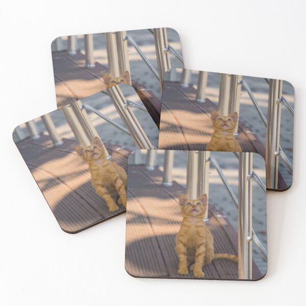 Item preview, Street Cat in Sultanahmet, Istanbul designed and sold by jojobob.