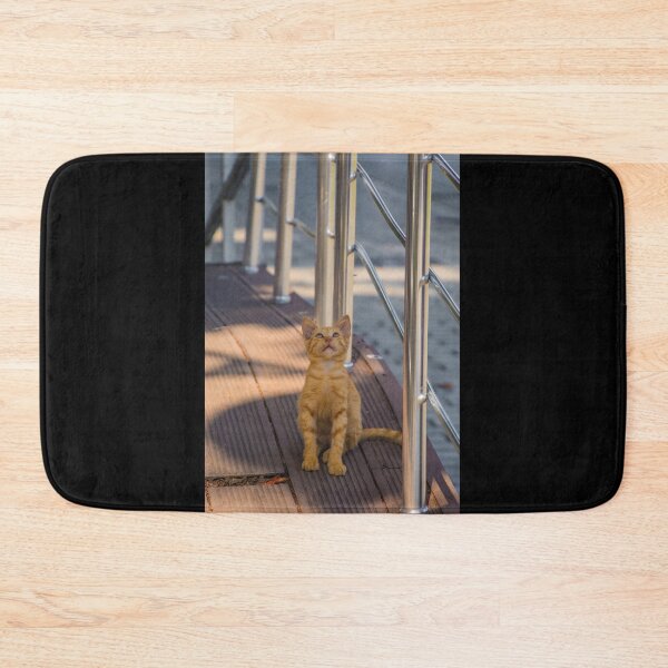 Item preview, Street Cat in Sultanahmet, Istanbul designed and sold by jojobob.