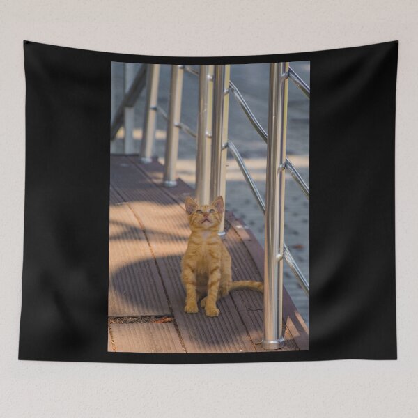 Item preview, Street Cat in Sultanahmet, Istanbul designed and sold by jojobob.