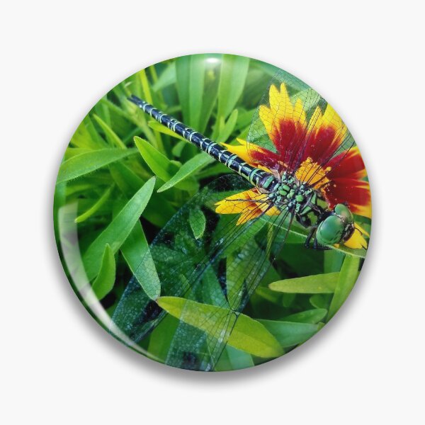 Item preview, Dragonfly, Dragonfly designed and sold by QueenBeeDieter.