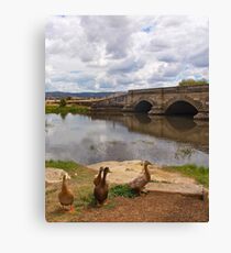Ross bridge Canvas Print