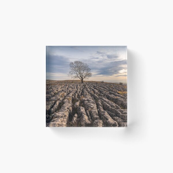 Item preview, Lone Tree designed and sold by MJ-Piccys.