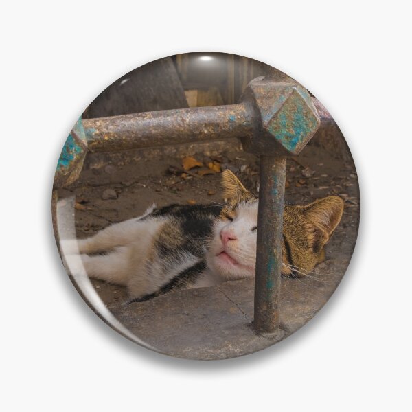 Item preview, Street Cat in Sultanahmet, Istanbul designed and sold by jojobob.