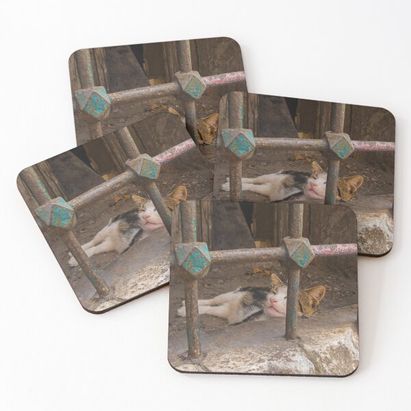 Item preview, Street Cat in Sultanahmet, Istanbul designed and sold by jojobob.