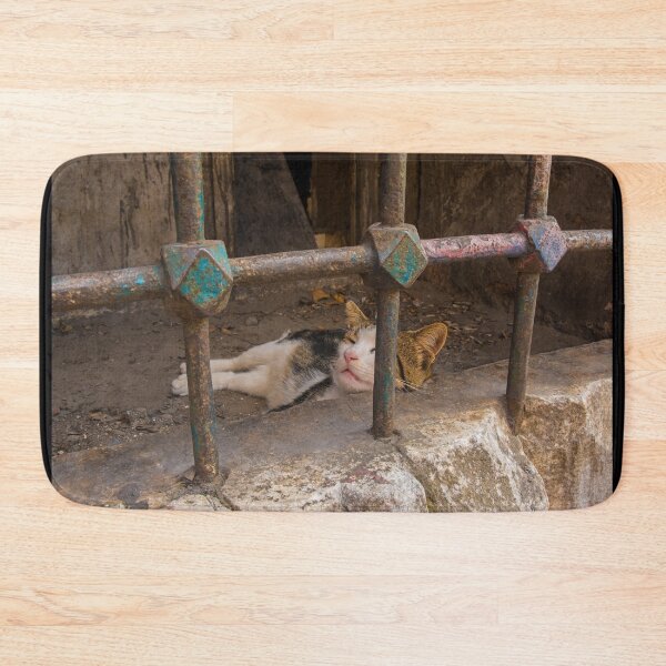 Item preview, Street Cat in Sultanahmet, Istanbul designed and sold by jojobob.
