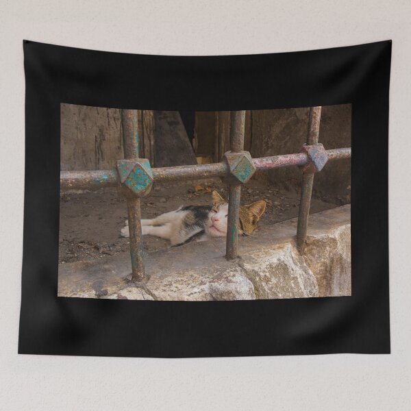 Item preview, Street Cat in Sultanahmet, Istanbul designed and sold by jojobob.