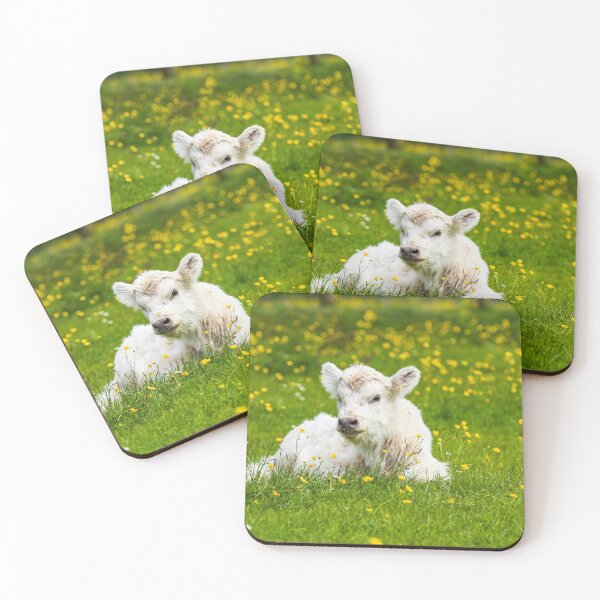 Item preview, Young Calf designed and sold by MJ-Piccys.