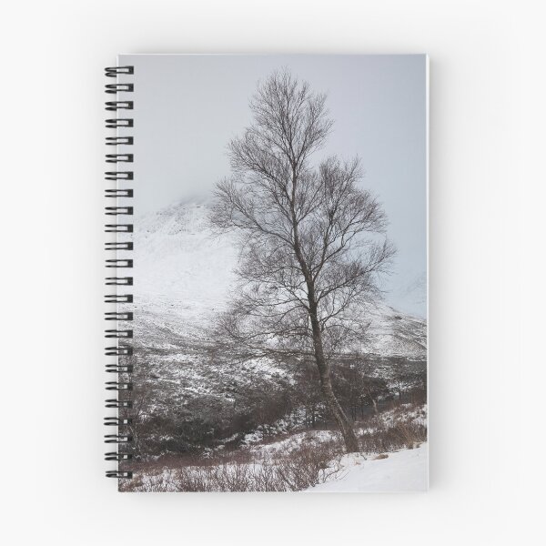Item preview, lone tree, glen etive designed and sold by codaimages.
