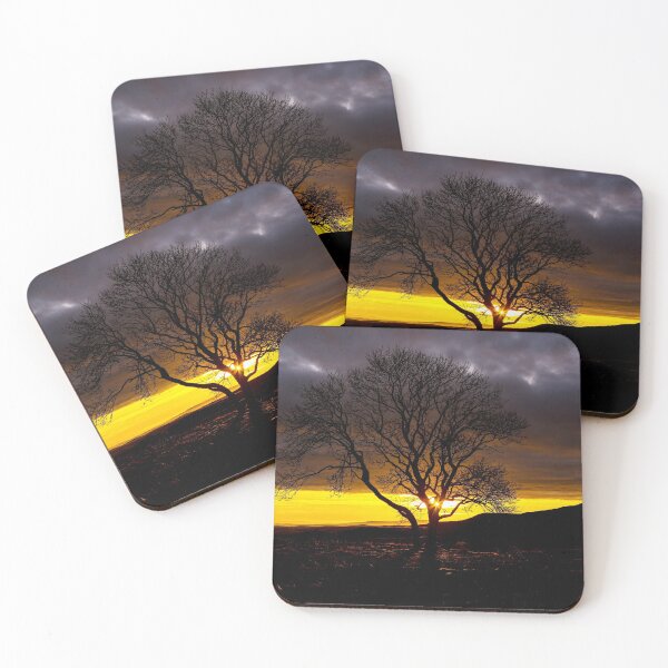 Item preview, Sunset on the lone tree designed and sold by MJ-Piccys.