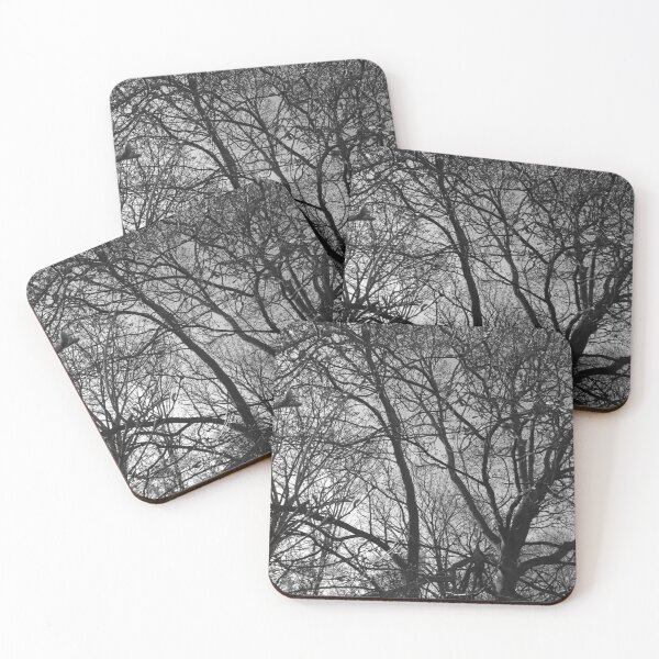 Item preview, Jumbled branches 2 (monochrome), Hob Moor, York designed and sold by paulboizot.