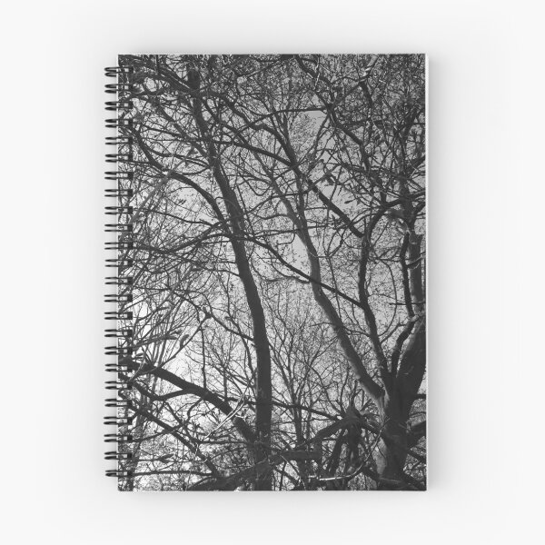 Item preview, Jumbled branches 2 (monochrome), Hob Moor, York designed and sold by paulboizot.