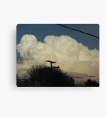 Superstorm's 1 Canvas Print