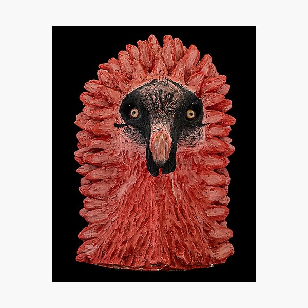 Item preview, Bearded Vulture Head designed and sold by mandragora13.