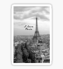 I love Paris Sticker