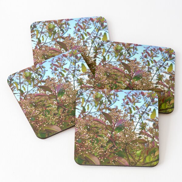 Item preview, Exotic atmosphere designed and sold by lucielitchi.