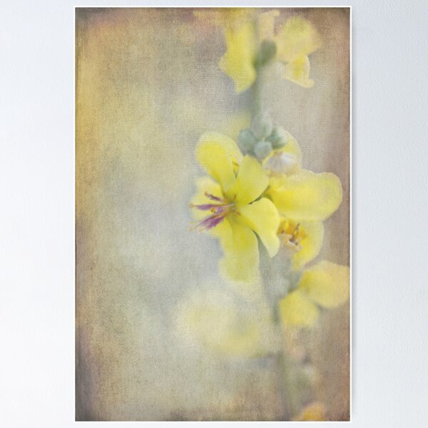 Item preview, wildflower designed and sold by Teresa Pople.