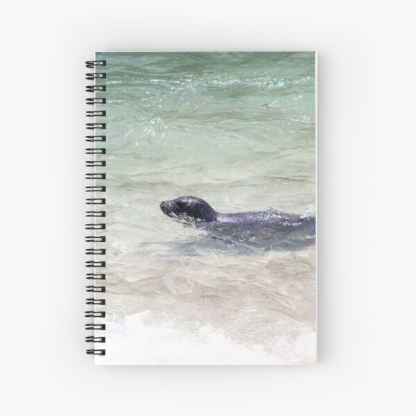 Seal Swimming Pacific Ocean Cute La Jolla California Spiral Notebook