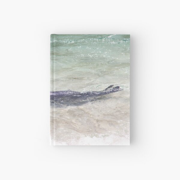 Seal Swimming Pacific Ocean Cute La Jolla California Hardcover Journal
