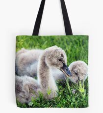 Black Swan Cygnets Tote Bag
