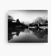 Shanghai Lake Canvas Print