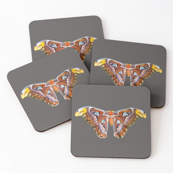 Artikelvorschau, Atlas Motte | Attacus-Atlas | Bug Collector | ACNL ACNH | Entomologe | Insekten entworfen und verkauft von BlueNoseTrading.