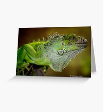 Staring iguana Greeting Card