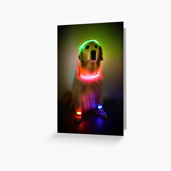 Artikel-Vorschau von Rave Vink, designt und verkauft von thegoldenratio4.